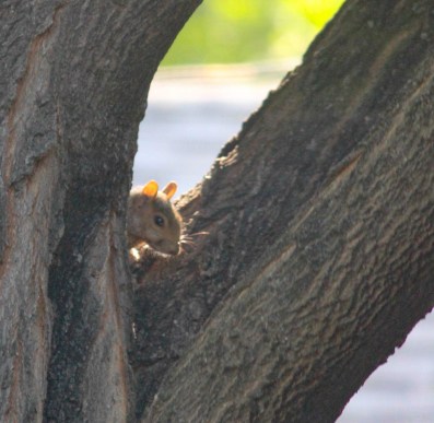 2014-08-07-at-08-27-31-2-2